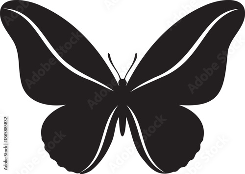 Black Butterfly Silhouette Vector Illustration