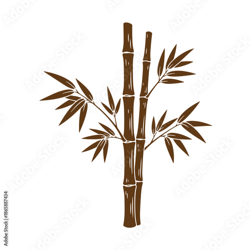 brown bamboo plant with leaves on white background  illustration