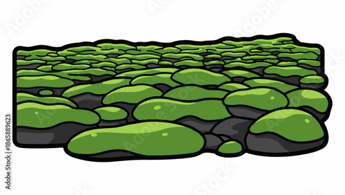 Rounded green mossy stones form a textured ground cover