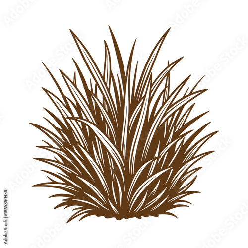 Brown grass illustration on white background  bunch of long thin blades