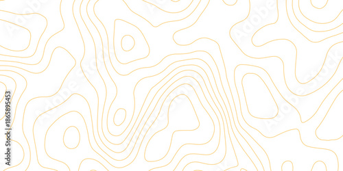 Topographic map background with geographic grid for hiking and mountain sport. luxury topographic wavy pattern and geographic grid map design. paper texture Imitation of a geographical map shades.