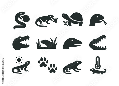 Reptile Feeding Icons. Reptile feeding habits. Solid icon set of Reptile feeding habits: snake swallow, lizard insect hunt, turtle herbivore, crocodile bite,