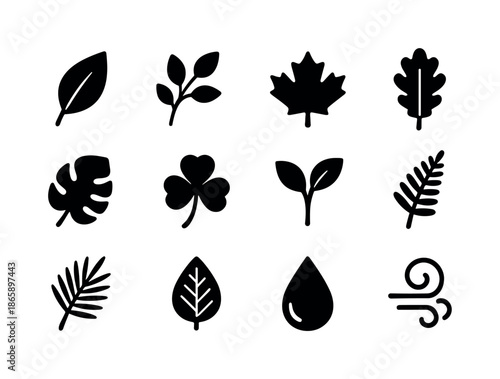Leaf Icon Collection. Leaf. Solid icon set of Leaf: single leaf, branch, maple leaf, oak leaf, tropical leaf, clover, sprout, fern, palm leaf, leaf vein, dew