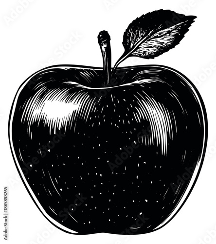 Hand drawn line art illustration of an apple depicting a whole ripe fruit with a leaf for food and health related designs