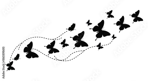 a flowing design of butterflies following a dotted path embodying freedom and delicate beauty silhouette