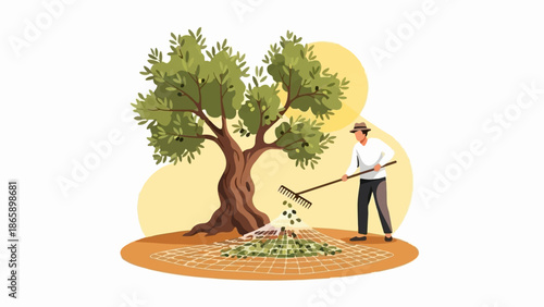 Person raking olives under a tree onto a net