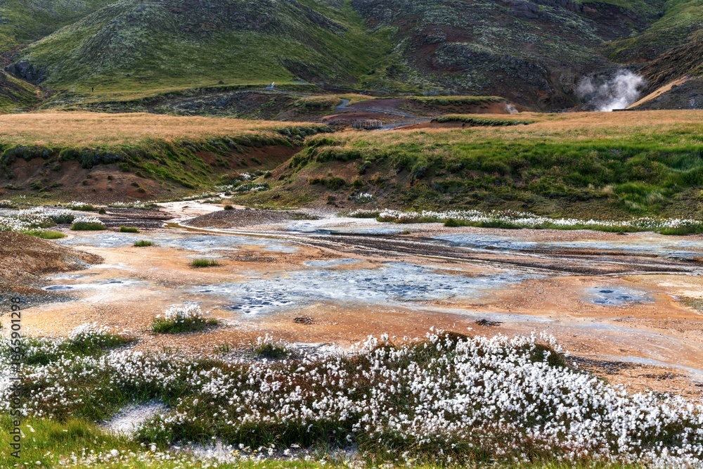 Fototapeta premium view of the Seltun Geothermal Area on the Reykjanes Peninsula of southwestern Iceland