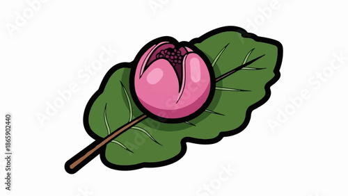 A pink flower bud rests on a broad green leaf
