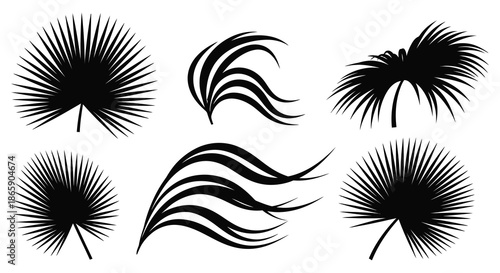 An artistic collection of palm frond designs presented in striking black and white a captivating silhouette