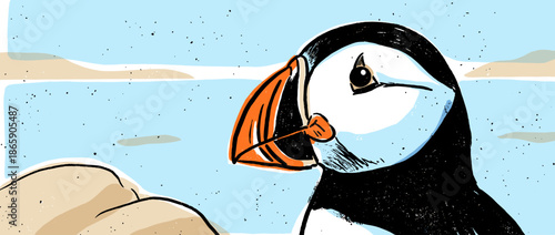 Charming illustrated puffin with a large orange beak is depicted in a close-up profile view with a textured, hand-drawn, graphic style and bold black outlines