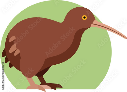Illustration of a Kiwi bird on a light green background