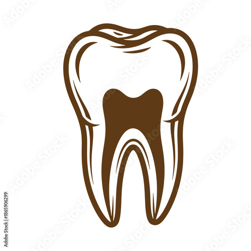 Brown and white illustration of a molar tooth with roots on a transparent background