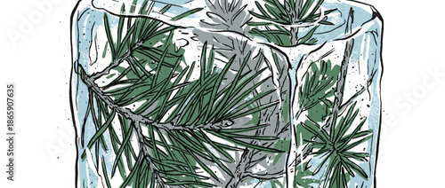 Green pine branch with long needles frozen inside a clear block of ice in a graphic, hand-drawn illustration style with bold black outlines and cool tones