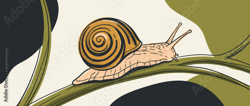 Hand-drawn snail with a spiral shell crawls slowly along a green plant stem in a charming vintage-style nature illustration with a limited color palette