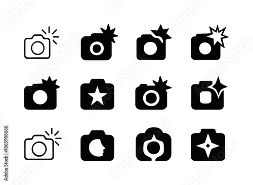 Celebrity Interview Icons. Celebrity interview. Icon set. Set Logo of celebrity interview: camera with flash. harmonious logo variations of the same emblematic