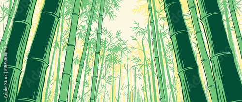 Tall green bamboo stalks with lush leaves create a tranquil grove in this stylized, hand-drawn illustration with a vintage, woodblock print aesthetic