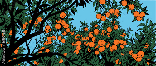 Graphic illustration of an orange tree with abundant ripe citrus fruit and dark green leaves, viewed from below against a bright blue sky in a bold, hand-drawn print style