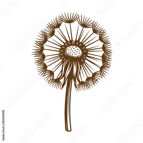 Brown dandelion flower illustration with seeds blowing away  graphic design element