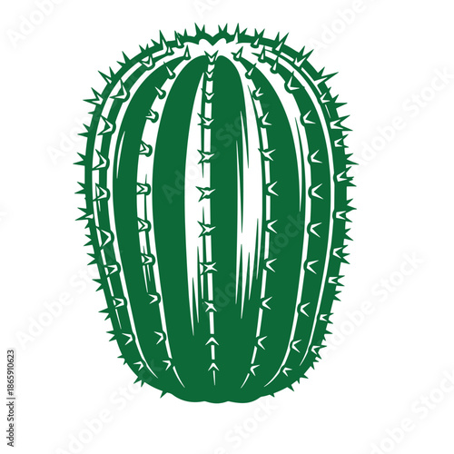 green cactus illustration with sharp spines on oval shaped plant
