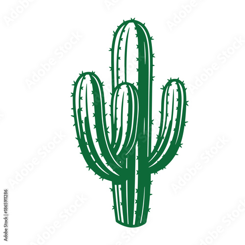 Green cactus plant with spines and three main stems isolated on white background