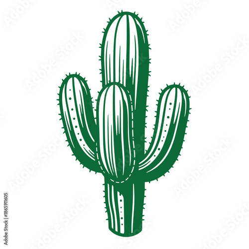 Green cactus plant with three arms and spines isolated on white background