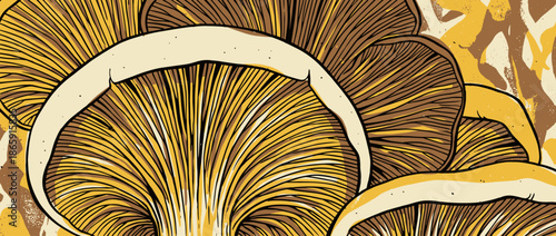Detailed graphic illustration of mushroom gills showing the intricate lamellae structure in a warm, earthy color palette with a vintage, hand-drawn style