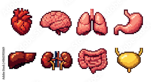Pixel art human organs: heart, brain, lungs, stomach, liver, kidneys, intestines, bladder