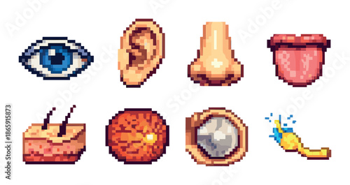 Pixel art illustration of seven human senses with eye, ear, nose, tongue, skin, retina, and brain
