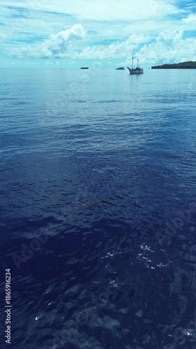 Aerial view of a pod of dolphins moving in synchronized formation below the ocean surface, Banda Sea, Maluku, Indonesia.