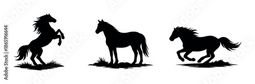 Silhouettes of horses: rearing, standing, running in dramatic composition