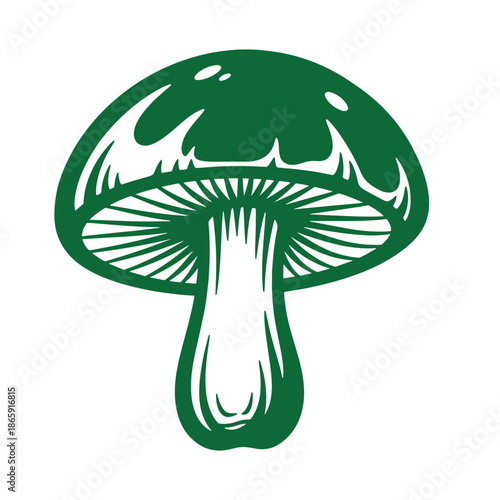 Green mushroom illustration with white details and transparent background