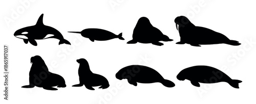 Silhouettes of various aquatic mammals: whale, dolphin, seal, walrus, and manatee