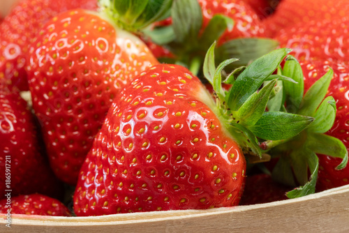 Obraz na płótnie un Panier de fraises fraîches
