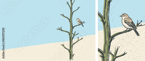 Hand-drawn illustration of a small bird perched on a leafless tree branch in a minimalist, vintage-style diptych composition showing a wide and close-up view