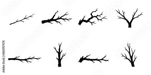 Silhouettes of leafless tree branches on black background