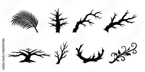 Silhouettes of diverse branches and leaves on dark background