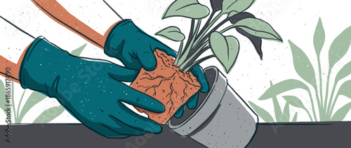 Hands in teal gardening gloves carefully repotting a green leafy houseplant with an exposed root ball into a new grey pot in a textured, hand-drawn illustration style