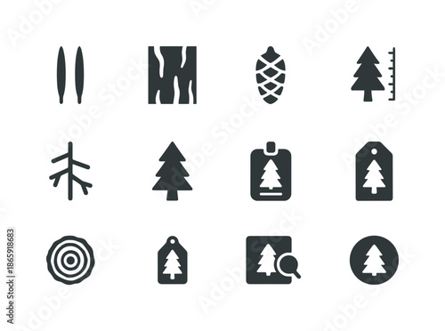 Spruce Identification Icons. Spruce Identification. Solid icon set of Spruce Identification: needle pair, bark texture, cone shape, tree height scale, branch
