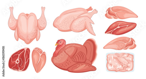 Raw chicken pieces and cuts displayed with ice for freshness