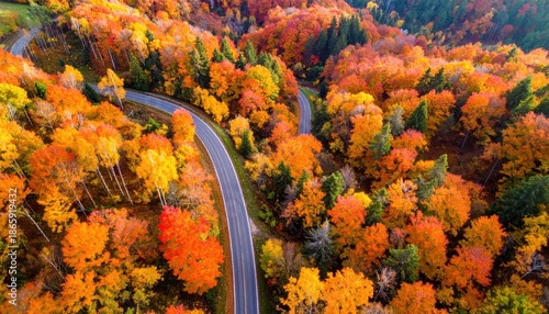 Aerial View of a Winding Road Through a Vibrant Autumn Forest.