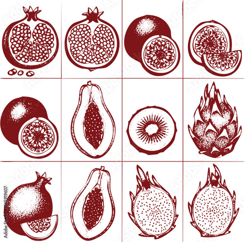 Collage of Exotic Fruits in Deep Red Ink on White Background Keywords: fruit, pomegranate, passion fruit, papaya, dragon fruit