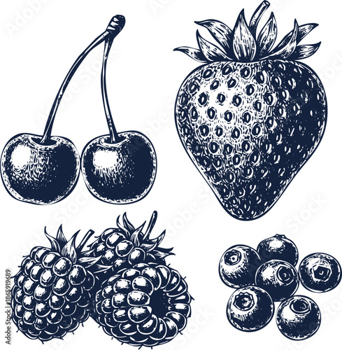 Hand Drawn Blue Berries and Cherries Illustrations on White Background berry fruit