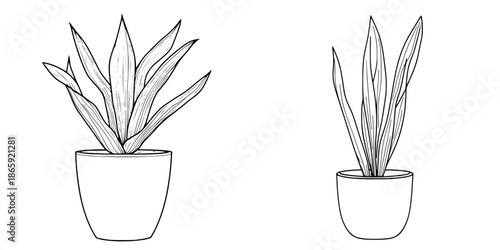 Elegant simplicity in minimalism: Line art of a snake plant