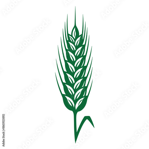 Green wheat ear silhouette on white background  agricultural symbol  food grain icon