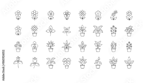 Geometric outline houseplants and flower vector icons set, 32 minimal botanical icons for web