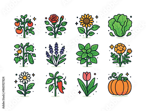 Colorful Plant Icons. Plant types. Colorful isometric vector icons set of plant types: tomato plant, rose bush, sunflower, lettuce, cucumber, lavender, basil,