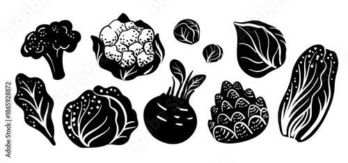 Black silhouette illustration set of different cabbage varieties, including white cabbage, cauliflower, broccoli, kohlrabi and leafy greens. Hand-drawn minimal style