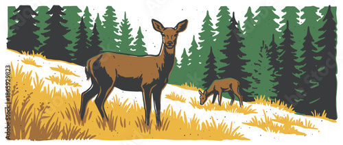 Mother doe and her young fawn stand in a snowy meadow with a dense evergreen forest in a beautiful, hand-drawn vintage linocut vector art style