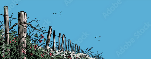 Hand-drawn rustic wooden fence with wire, overgrown with wild berry bushes and grass in a graphic novel style with birds flying across a clear blue sky