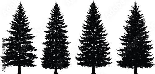 Silhouette of pine trees set, evergreen coniferous forest shapes, black tree outlines isolated on white background, vector nature collection